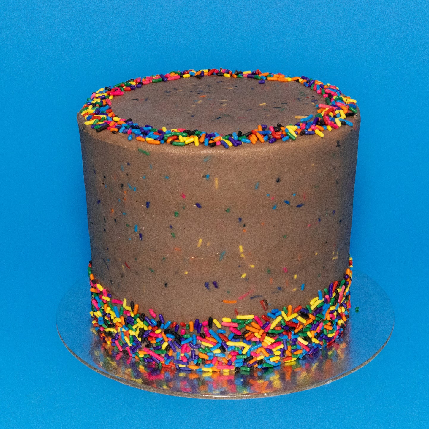 chocolate sprinkle cake